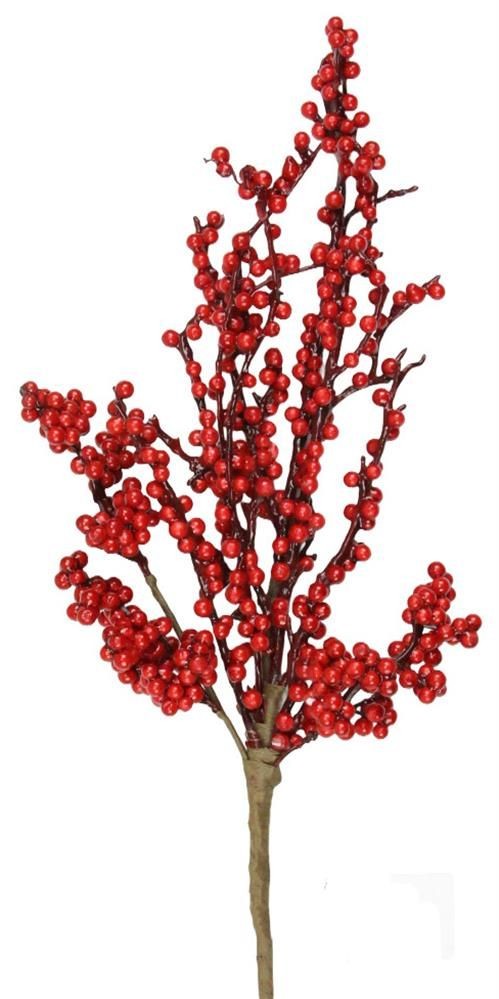 EC4192  17.25"L Berry Pick  Red