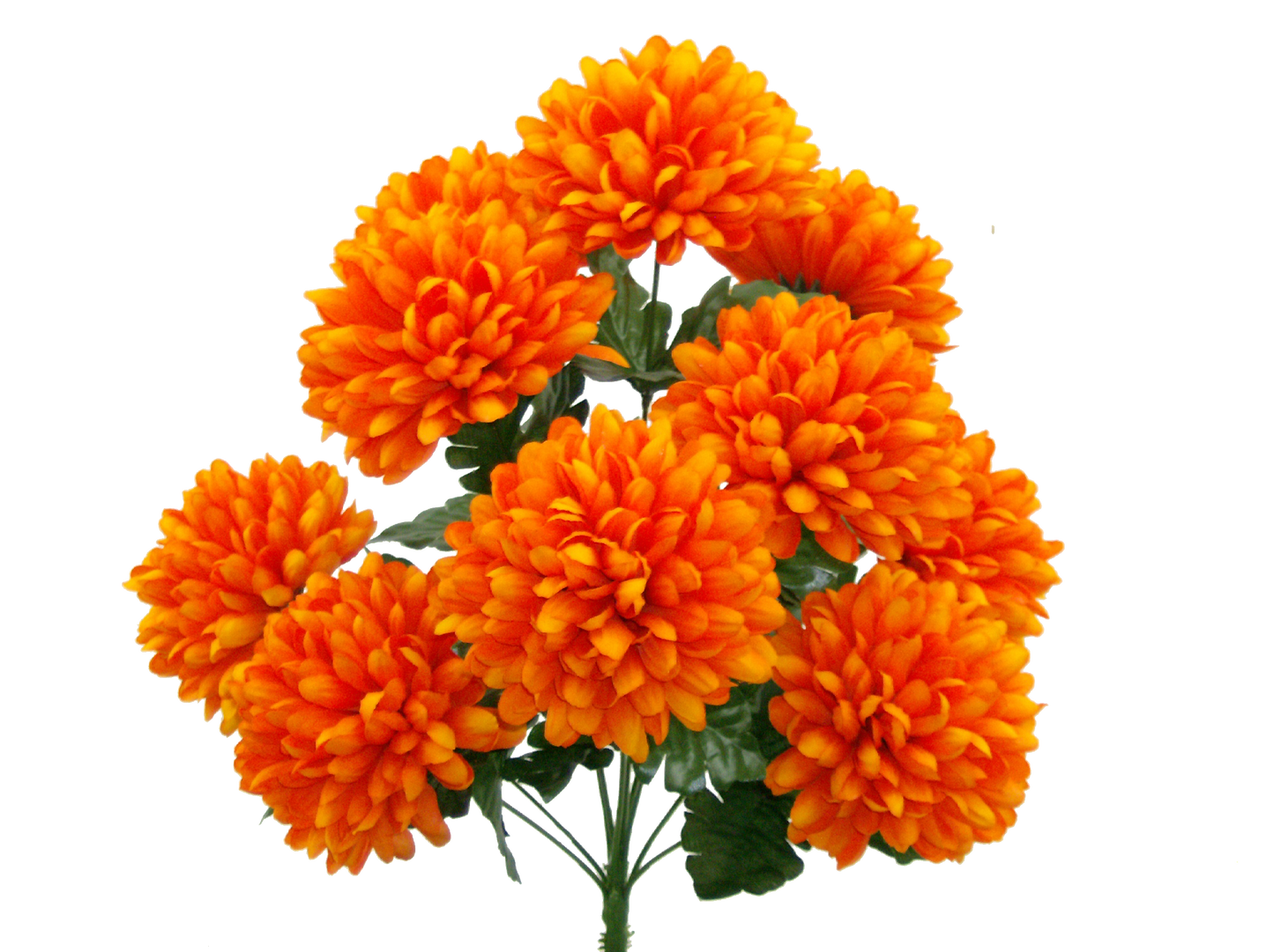 35016OR   H19"   Ball Mum BushX10    Orange