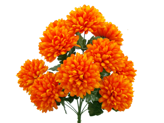35016OR   H19"   Ball Mum BushX10    Orange