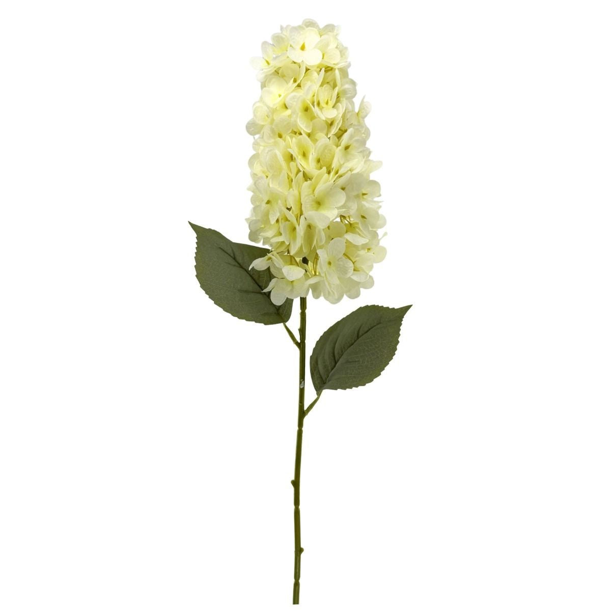 CS22419-CR     32"  Cone Hydrangea     Cream