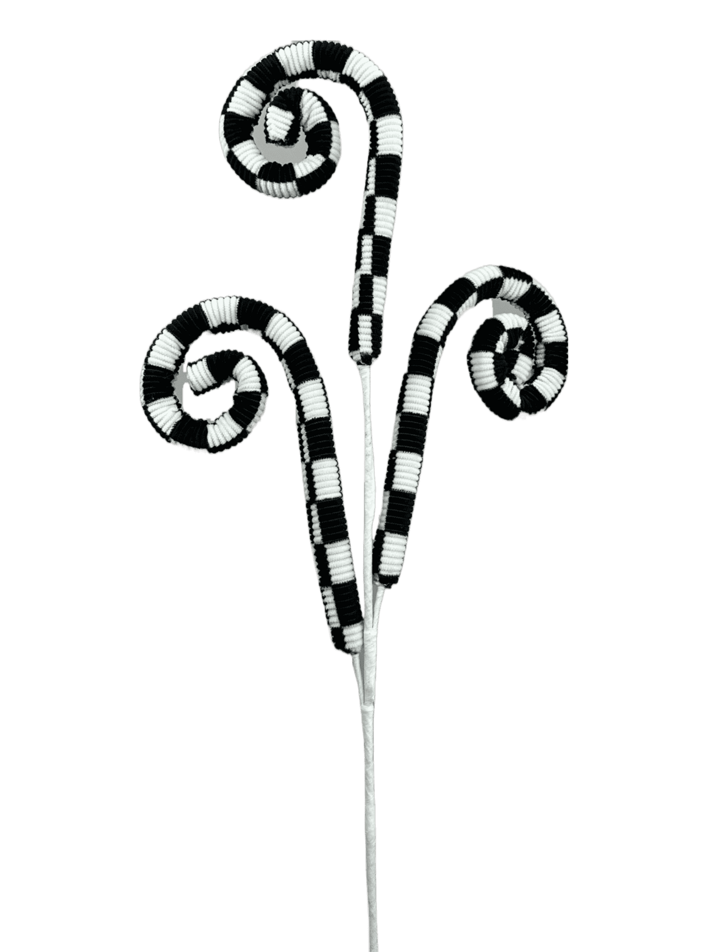 63407BKWT   H28   Checker Curly Spray x 3