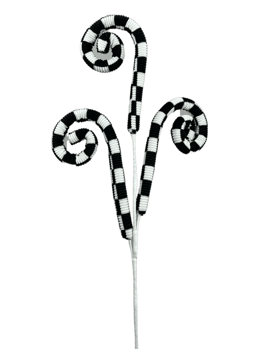 63407BKWT   H28   Checker Curly Spray x 3