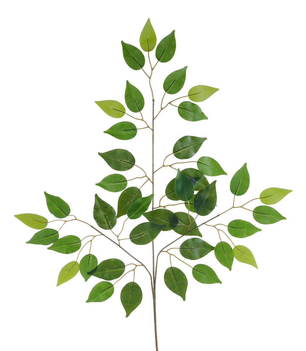 FG696330   23"L Ficus Spray   Tt Green