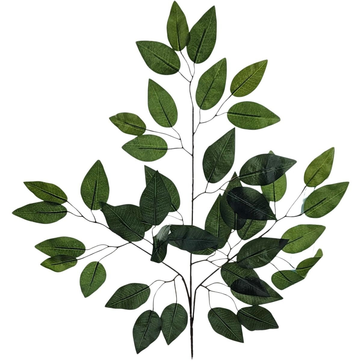 CS21010     Ficus Spray     Sage Green