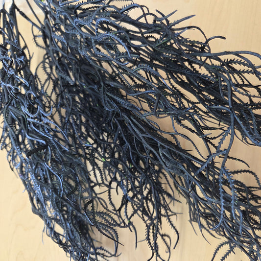 57097BK     21"H  Cottonii Seaweed    Black