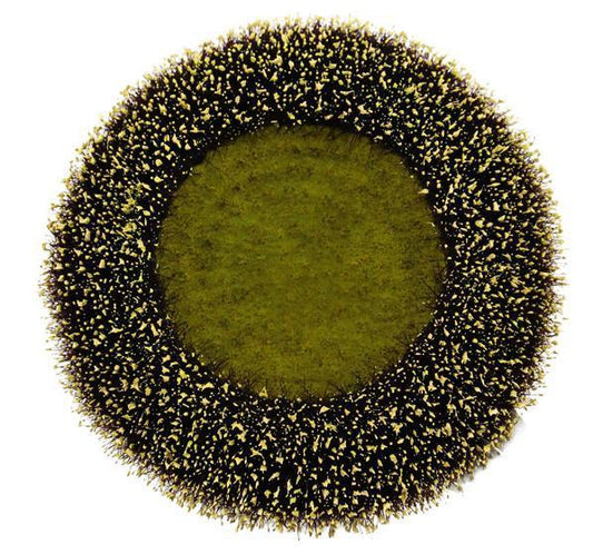 FJ5176 7"Dia Sunflower Head Yellow/Black