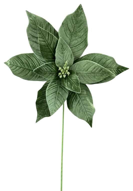 86910SAGE    H25XDia12    Velvet Poinsettia Stem     Sage Green