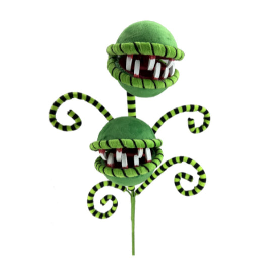 57142GNBK 24" Venus Flytrap Curly Spray: Black & Green