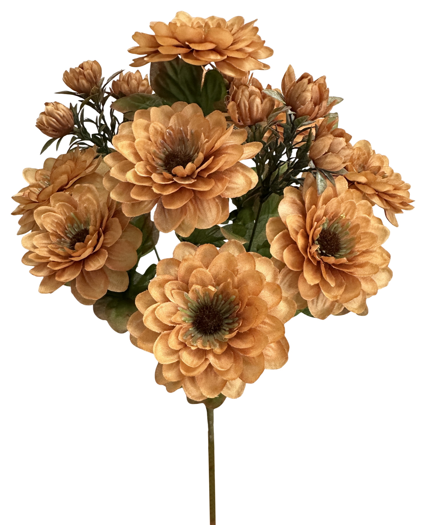 57536BN      H17"    Zinnia BushX12