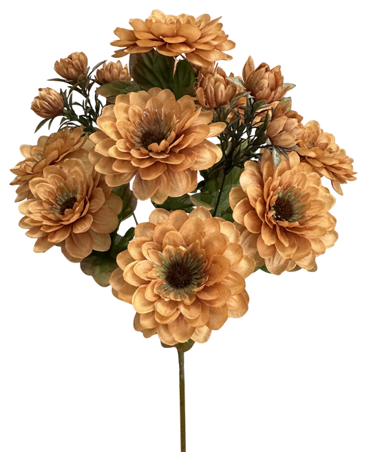 57536BN      H17"    Zinnia BushX12