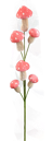 63304CO   26"   Mushroom Pick X6  Spray Coral