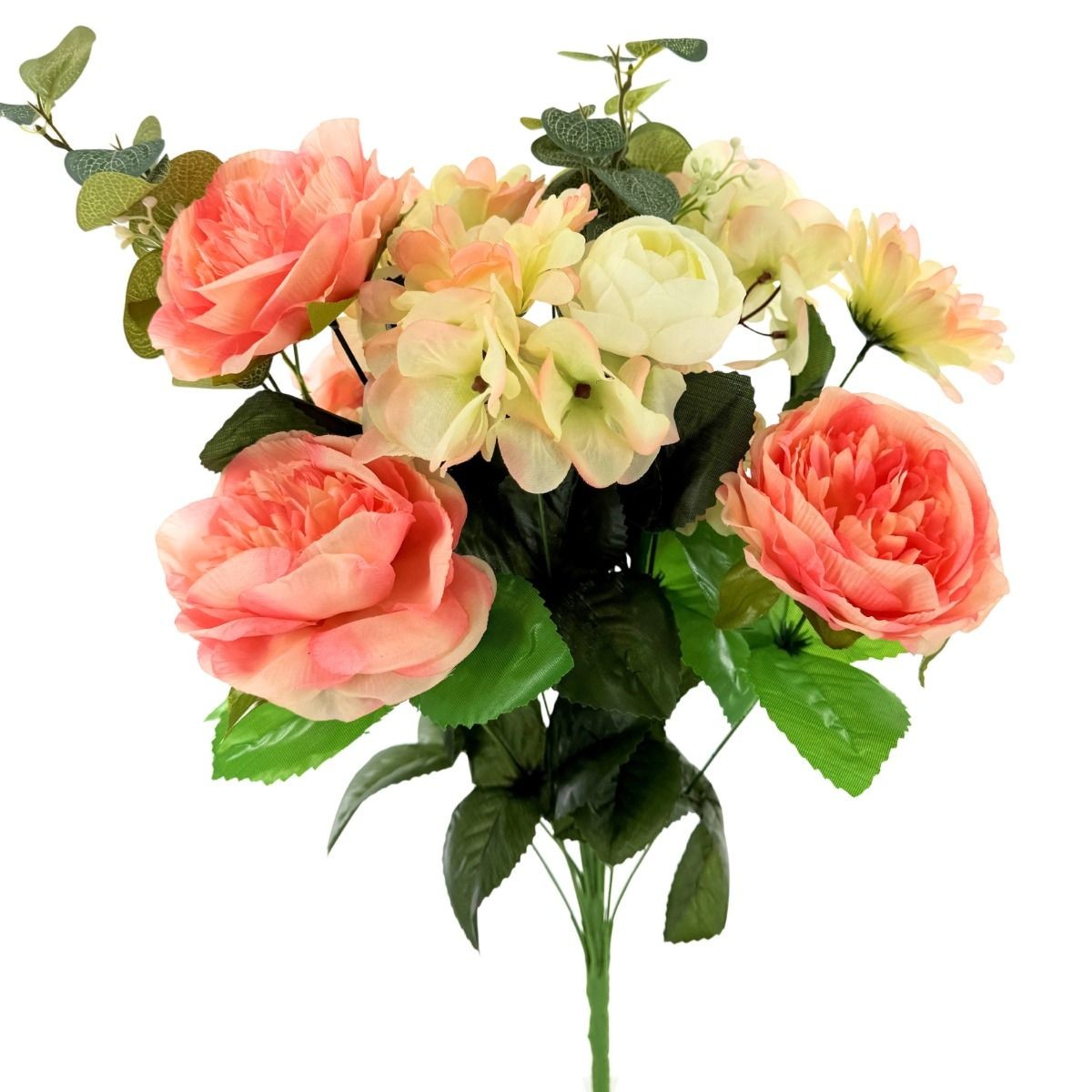 CS12526-PCHCRM    PEONY/HYDRANGEA/RANNACAULUS/EUCALYPTUSX18    Peach/Cream