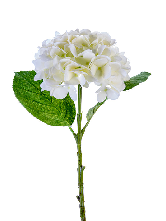 2255132CR   19" Hydrangea Spray Real Touch Cream