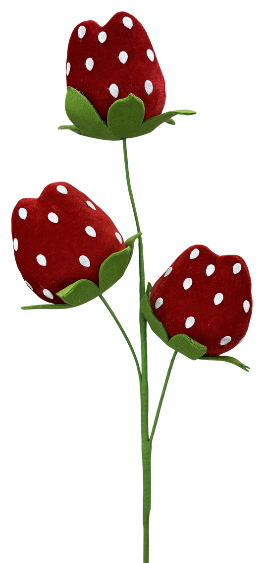 63909RD    28"      Strawberry Spray   Red/White