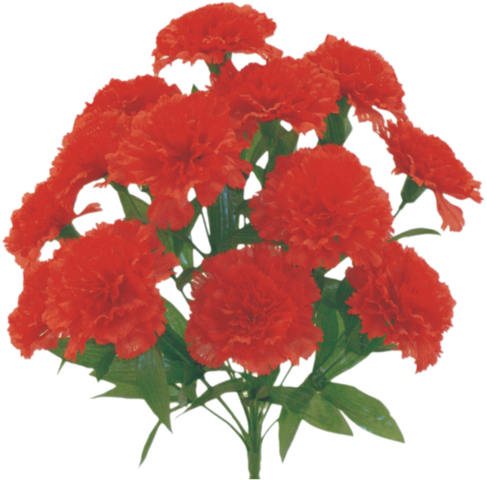 314113RD    H17"     Color Fast Carnation BushX14    RED