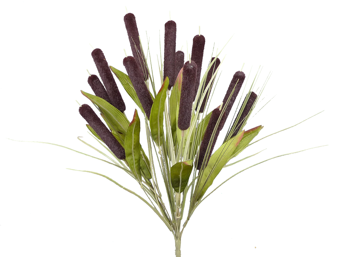 56451DKBN     20"H     Cattail Bush X14    Green/Brown