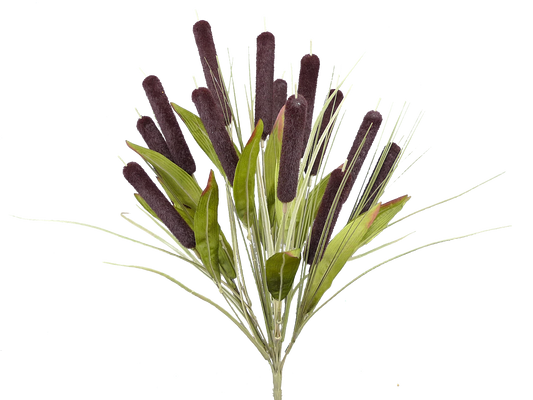 56451DKBN     20"H     Cattail Bush X14    Green/Brown