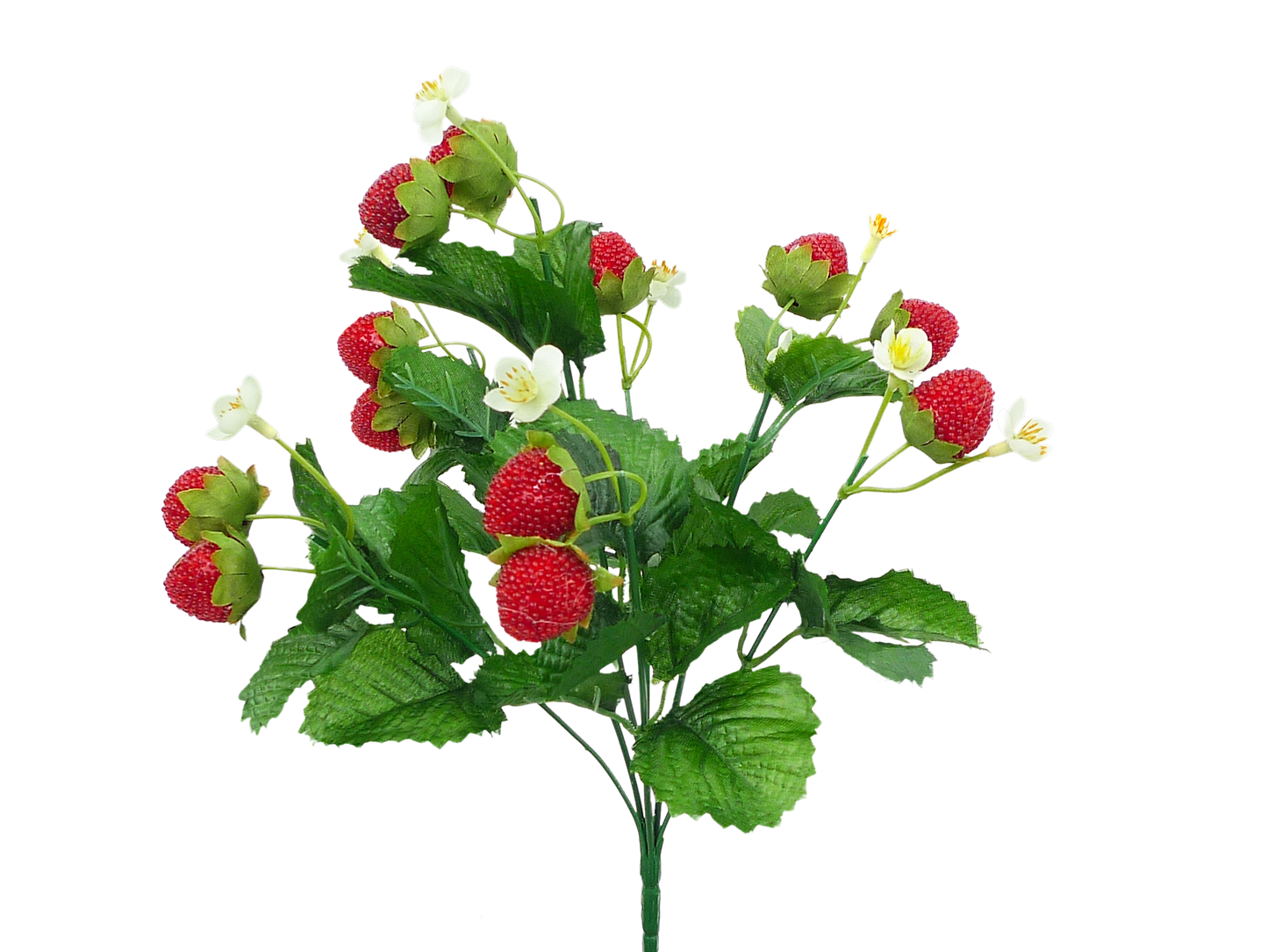 62693BU13   13"H   Strawberry Bush     Red