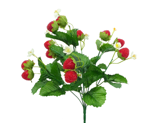 62693BU13   13"H   Strawberry Bush     Red