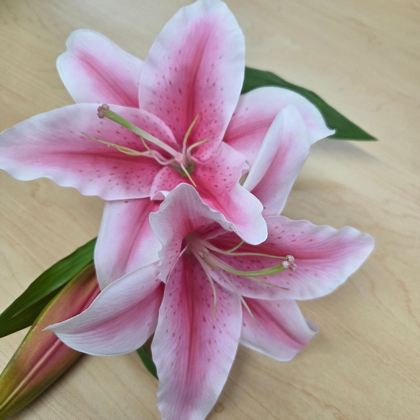 2240054PK     30"  Stargazer Lily    Pink/White