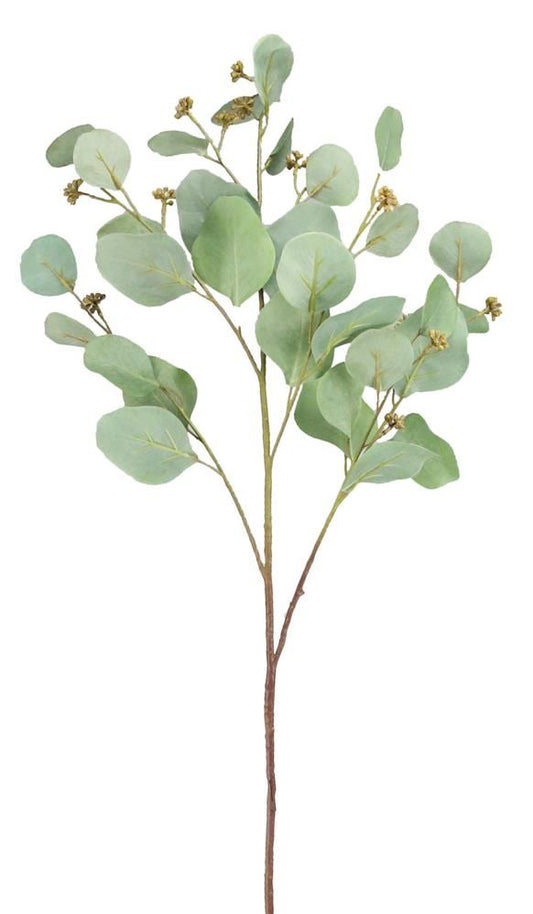 FG5445  34" Silver Dollar Eucalyptus & Berry Spray – Green