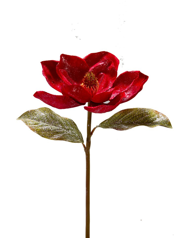 2823031RD     22" Glittered Magnolia Spray    Red