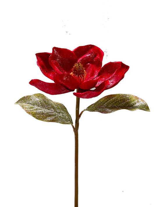2823031RD     22" Glittered Magnolia Spray    Red