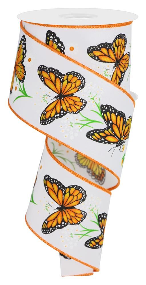 RGE150527    2.5" x 10yd Monarch Butterfly W/Daisies  White/Dk Org/Ylw/Dk Grn