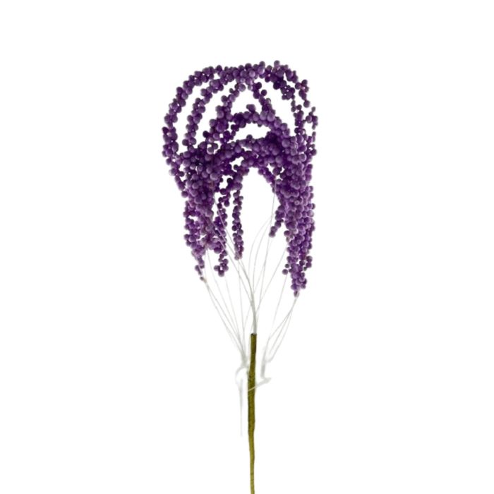 WF690    20"  Loop Berry Spray