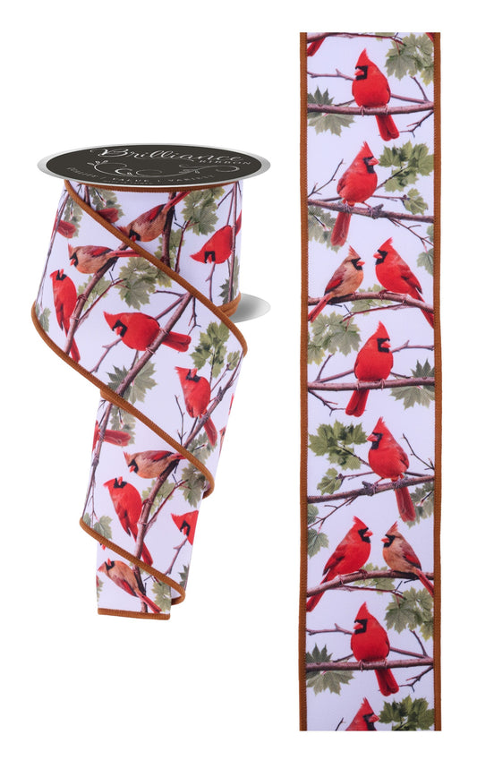 LS1138RT   2.5" x 10yd Cardinals   Wht/Brwn/Red