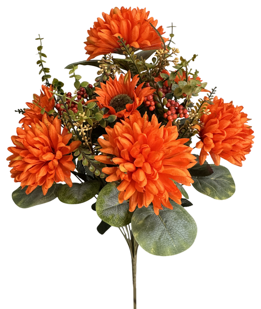 57529OR   H21"    Ball Mum Sunflower Berry BushX14     Orange