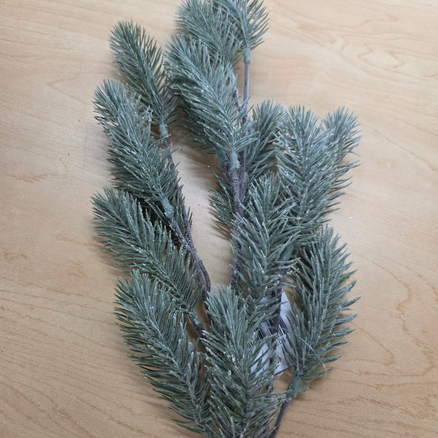 510261    26"  Frosted Spruce Fir
