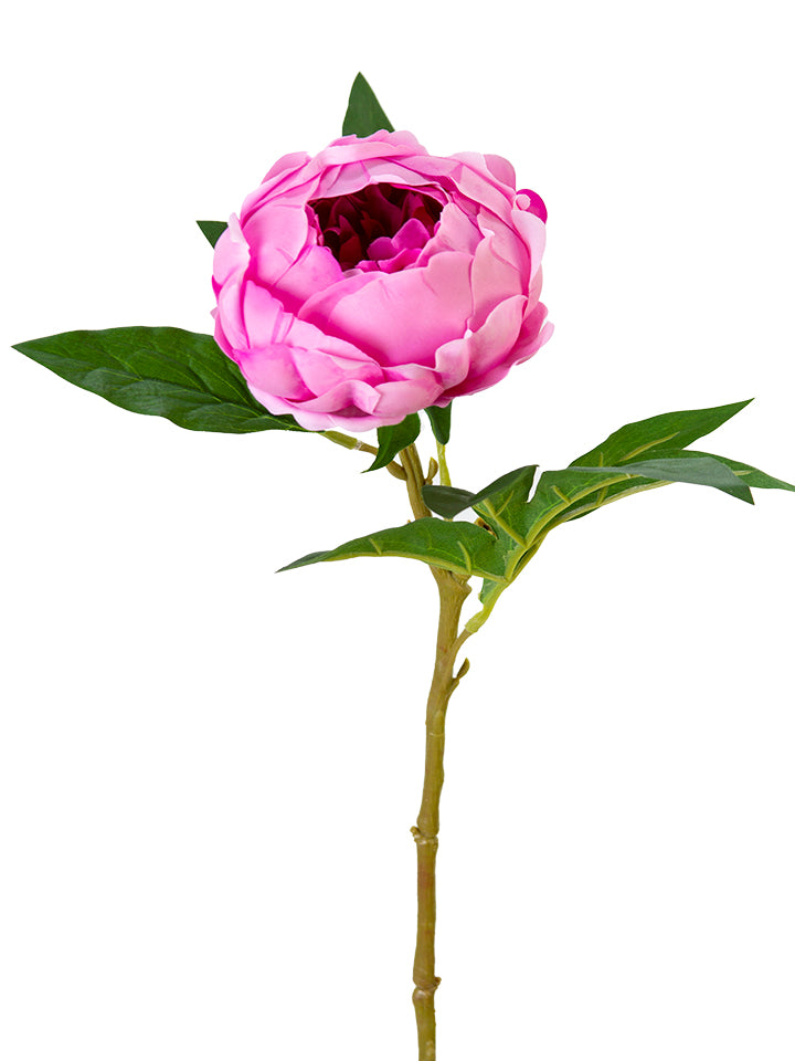 2245048MV   23"  Real Touch Peony Spray   Mauve