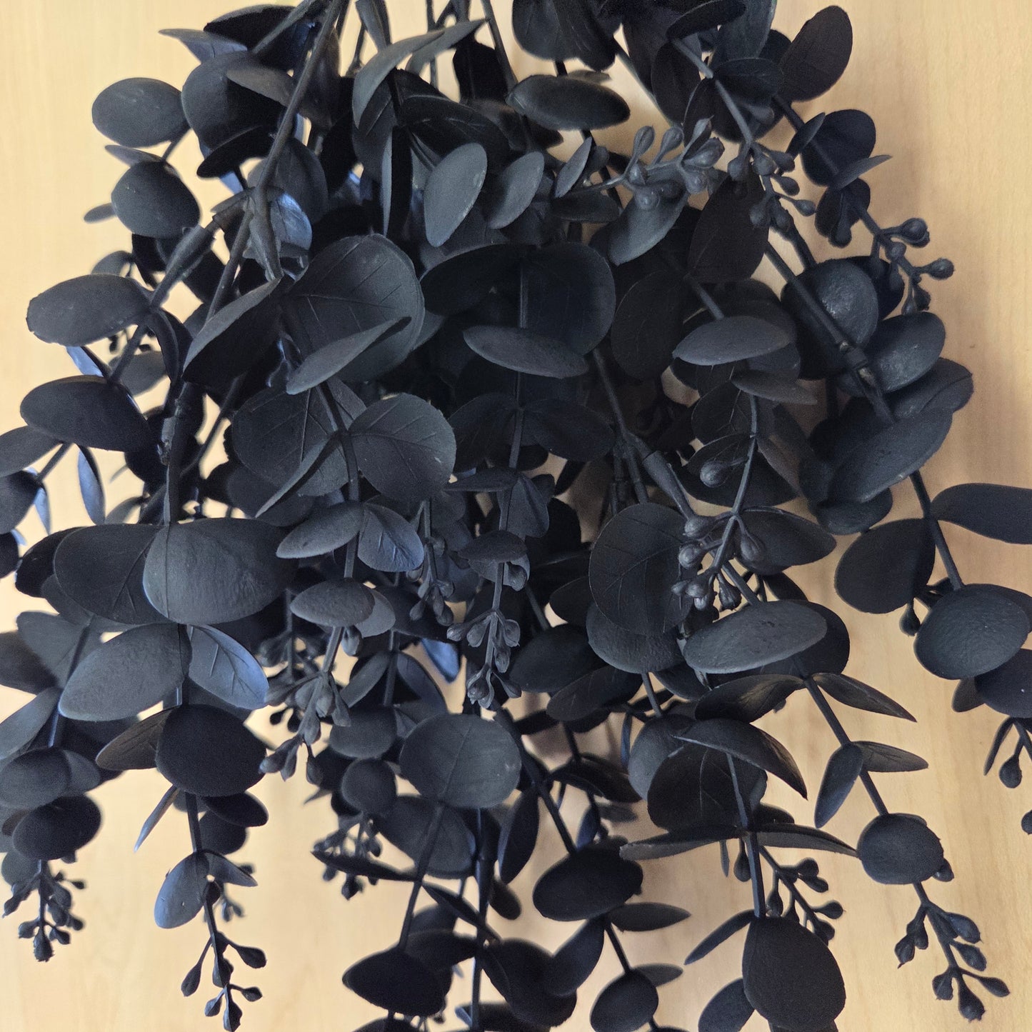 57098K    20"   Eucalyptus Bush       Black