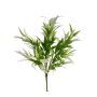 CS14303   Wild Grass X5