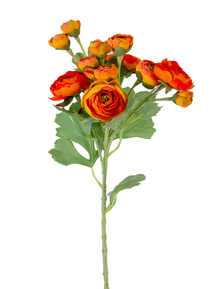 2280021OR     21" Ranunculus Spray    Orange
