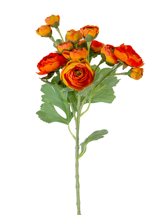 2280021OR     21" Ranunculus Spray    Orange