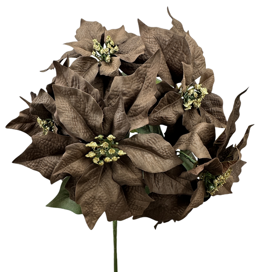 Poinsettia Bush x 5