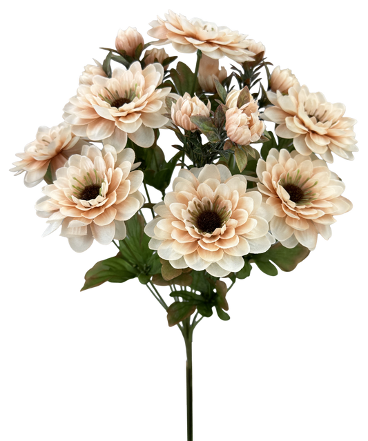 57536BE    H17"  Zinnia BushX12
