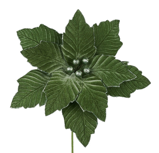 XS401130   12.5"Dia Velvet Poinsettia, 10.5"L Stem   Sage Green