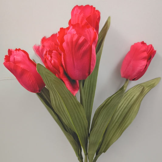6051-FUS   19" Parrot Tulip BushX6   Fuchsia