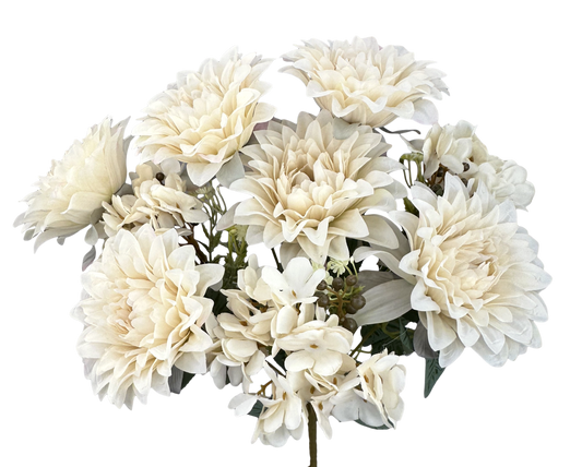 57329BE    H17"   Dahlia Hydr Bush X9