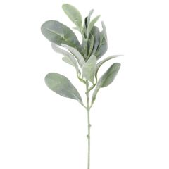 CS26011    13.5" Lambs Ear Stem