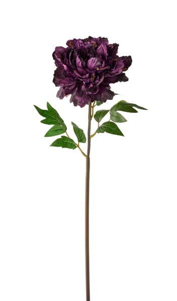 FS387832    23"L Velvet/Satin Peony   Eggplant