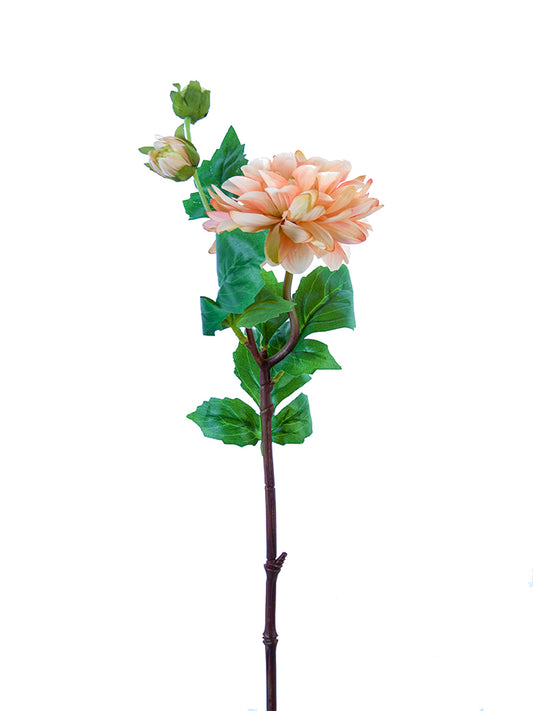 2225043LC  25" Dahlia Stem W/2B Lt. Coral