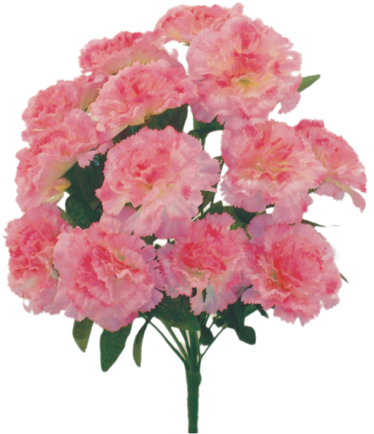 314113BBPK      H17"    Color Fast Carnation BushX14   Pink