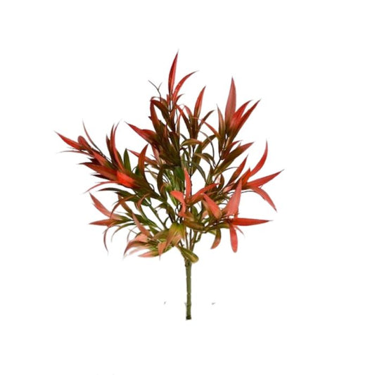 CS14303   Wild Grass X5
