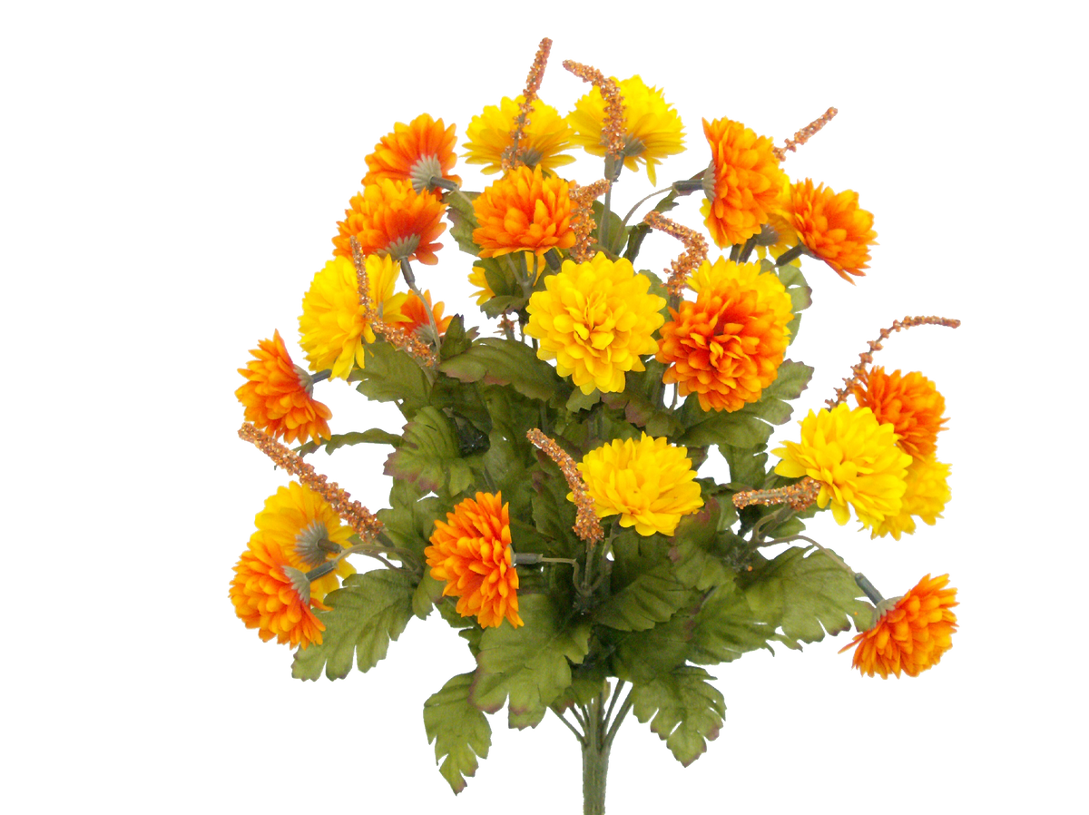 52290ORYW   17H   Pompom Mum Bush x 12,   Orange/Yellow