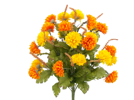 52290ORYW   17H   Pompom Mum Bush x 12,   Orange/Yellow