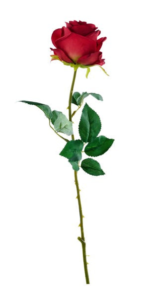 FS380137  24"L Rose Stem Dusty Red